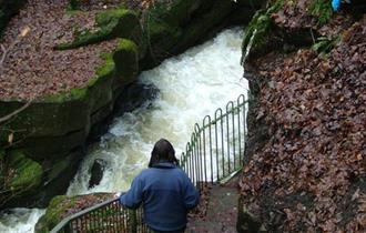 Healey Dell - Chapel