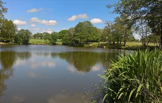 The Horns Dam Fishery