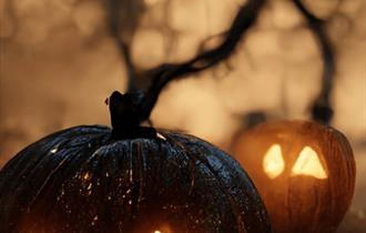 Horrible Histories: Halloween Talk