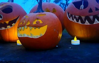 Pumpkin Trail at Edgeside Park