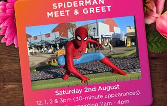 Spiderman Meet & Greet with Face Painting