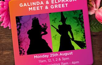 Wicked Galinda & Elphaba Meet & Greet with Face Painting