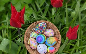 Easter Egg Hunt