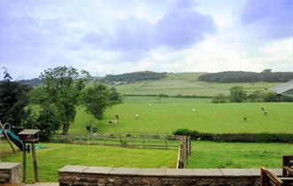 Lodge View Cottages