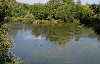 Longton Brickcroft Nature Ramble