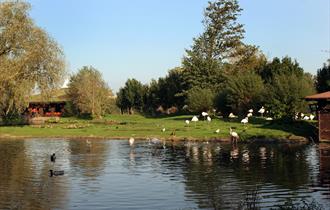 Lapwing Cycle Route - West Lancashire