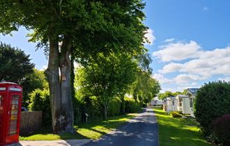 Moss Wood Caravan Park