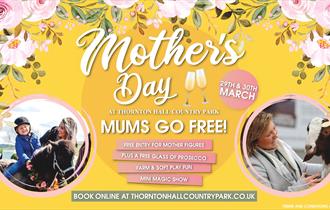 Mother's Day at Thornton Hall Country Park