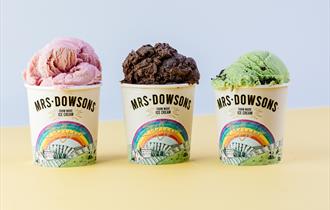 The famous Mrs Dowsons Ice cream, served in multicoloured sprinkled cone.