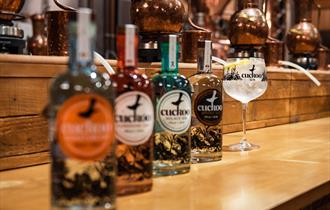 Cuckoo Gin at Brindle Distillery