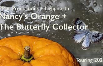 Nancy's Orange + The Butterfly Collector - Cherry Tree Library