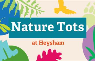 Nature Tots at Heysham Nature Reserve