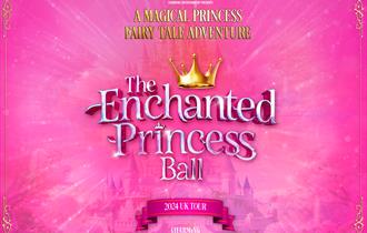 The Enchanted Princess Ball