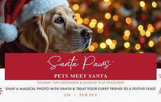 'Santa Paws' - Pets Meet Santa at Holland Hall