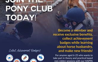 The Pony Club
