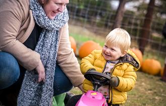 Ridgeway Farm Pumpkin Festival