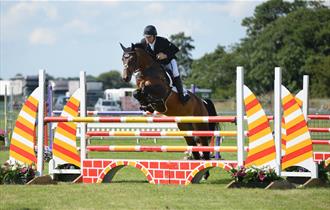 Showjumping at RLAS