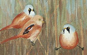 Silverdale Art Group Annual Exhibition