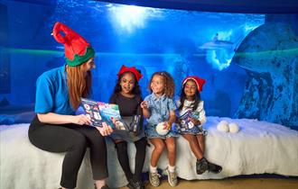 Snowy's Conservation Crew