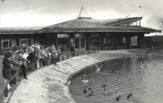 50th Anniversary Before and After Trail at WWT Martin Mere