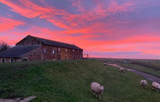 Patty's Barn