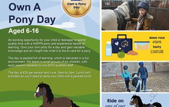 Own A Pony Day