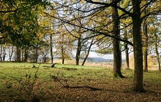 The Estate Grounds at Stirk House Hotel