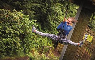 Go Ape activity