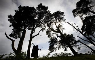 Pendle Witch Experience