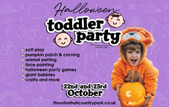 Halloween Toddler Party