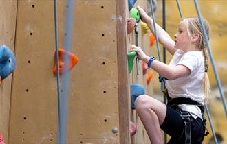 Outdoor Revolution - Climbing Walls