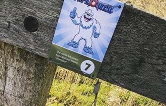 Winter Xplorer at Brockholes