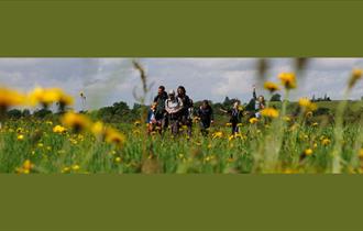 Reserve Ramble at Brockholes Nature Reserve
