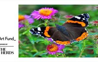 Wild Art Family Fun: May Half Term with Lela Harris