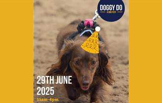 Doggy Doo at HAPPA
