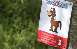 Summer Xplorer at Brockholes