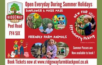 Summer Fun on the Farm with Maize Maze