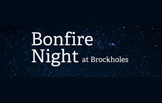Wildlife Friendly Bonfire Night at Brockholes
