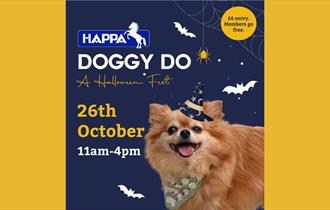 Doggy Doo.  A Halloween Fest at HAPPA