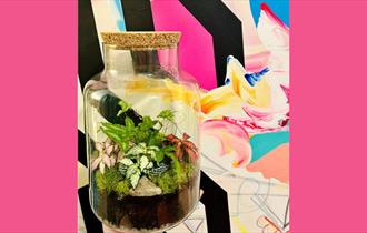 Corked Jar Terrarium at Holden Clough (14 years plus)