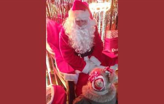 Christmas Fair at World Horse Welfare Penny Farm