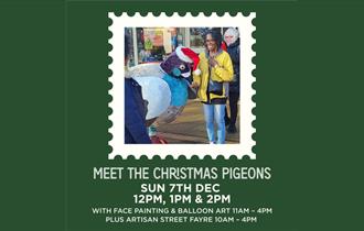 Meet the Christmas Pigeons with FREE Face Painting and Balloon Art Fun