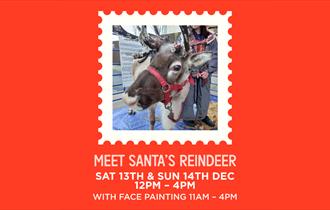 Meet Santa's Reindeer