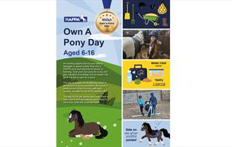 Own a Pony Day