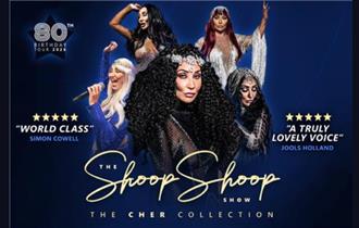 The Shoop Shoop Show: The Cher Collection