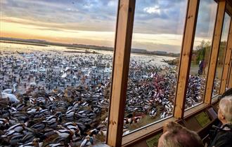 North West Bird Watching Festival 2025