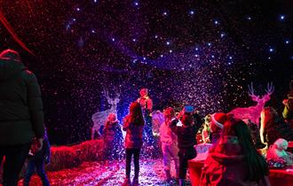 Santa Train Event at Windmill Animal Farm