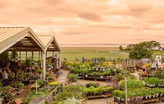 Bay View Garden Centre