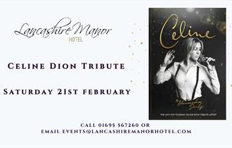 Celine Dion Tribute Night