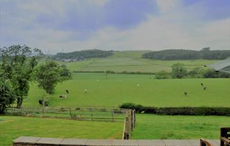 Lodge View Cottages